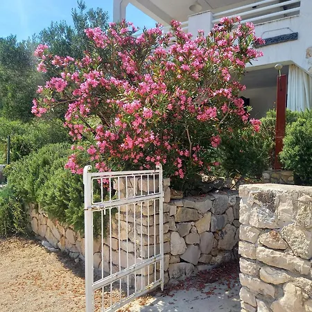 Apartman Fig Pirovac
