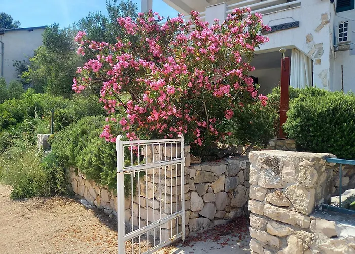 Appartement Fig Pirovac